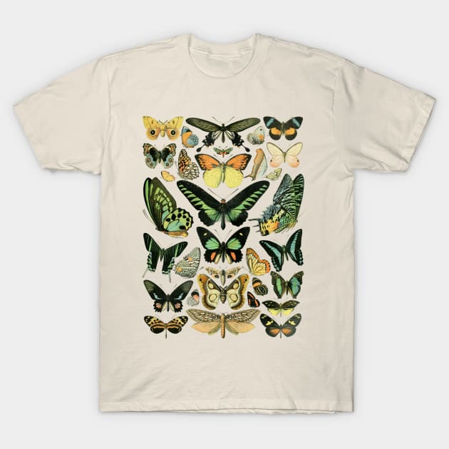Vintage French Butterflies T-Shirt by Ellador